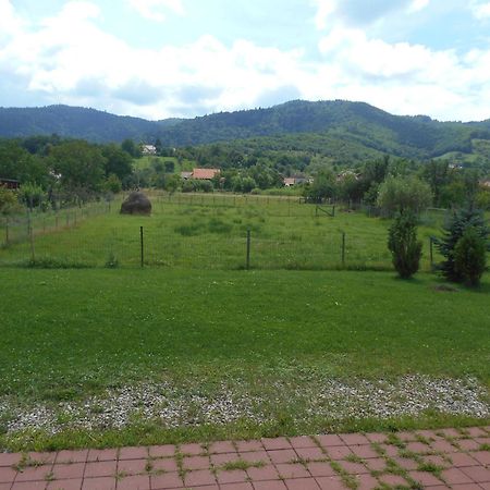 Casa Rudi & Ella Hotel Sălişte Bagian luar foto