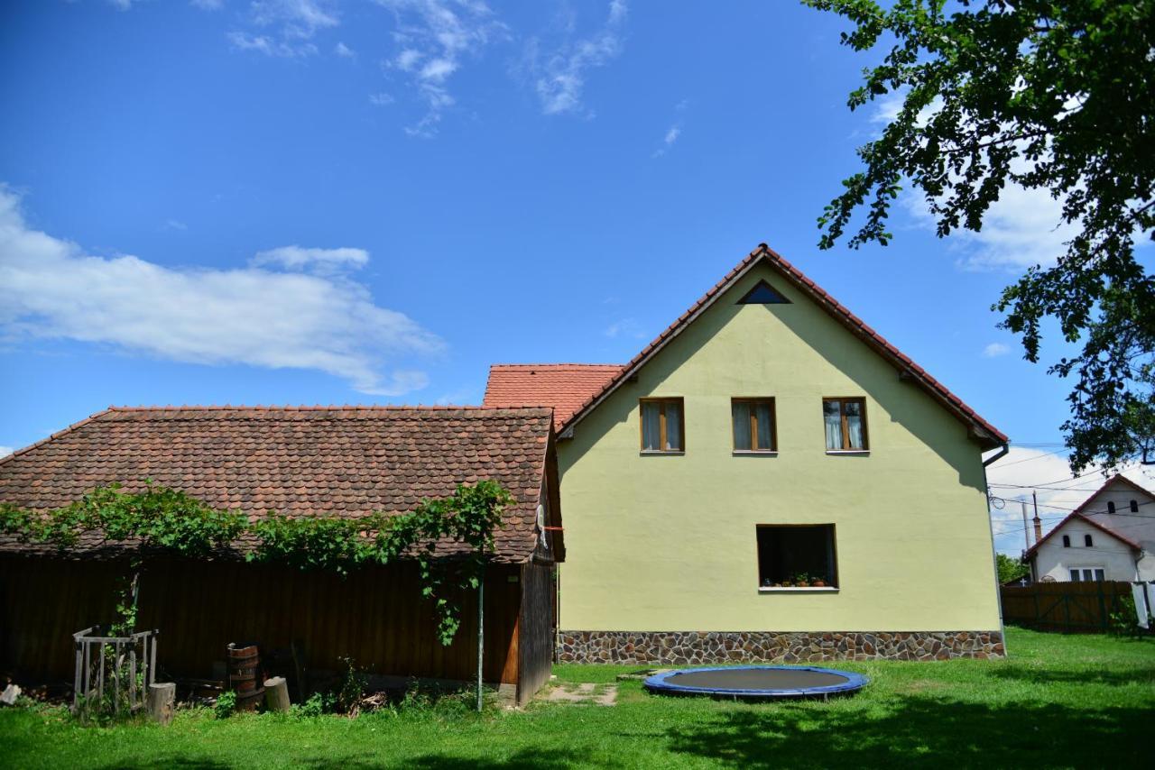 Casa Rudi & Ella Hotel Sălişte Bagian luar foto