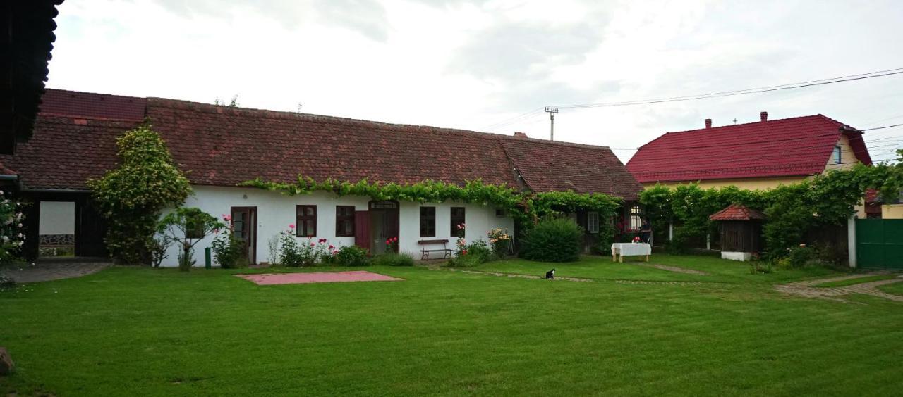 Casa Rudi & Ella Hotel Sălişte Bagian luar foto