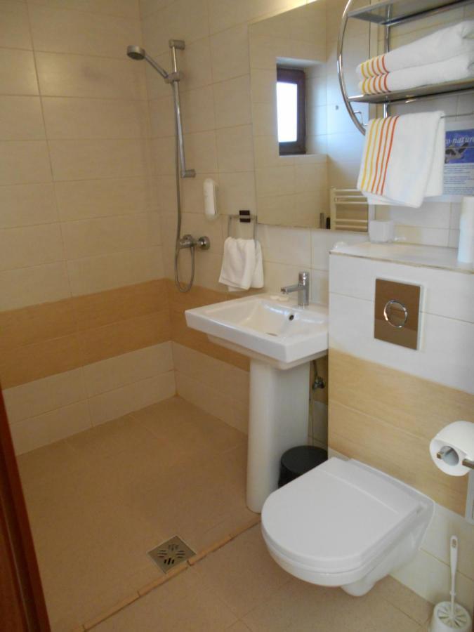 Casa Rudi & Ella Hotel Sălişte Bagian luar foto
