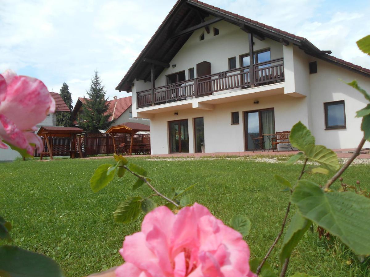 Casa Rudi & Ella Hotel Sălişte Bagian luar foto