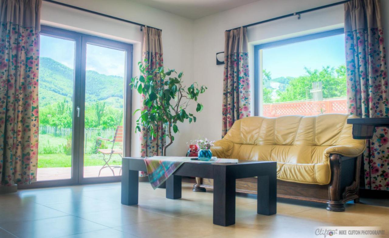 Casa Rudi & Ella Hotel Sălişte Bagian luar foto