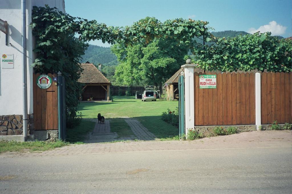 Casa Rudi & Ella Hotel Sălişte Bagian luar foto