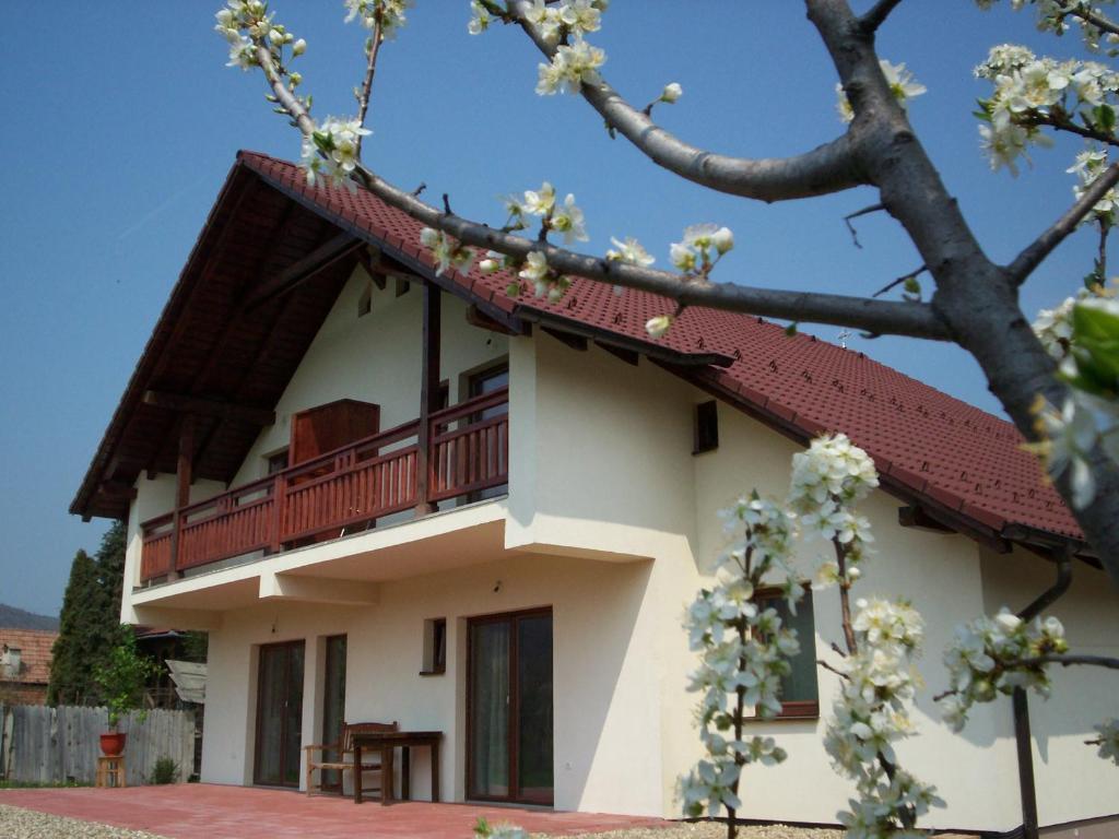 Casa Rudi & Ella Hotel Sălişte Bagian luar foto