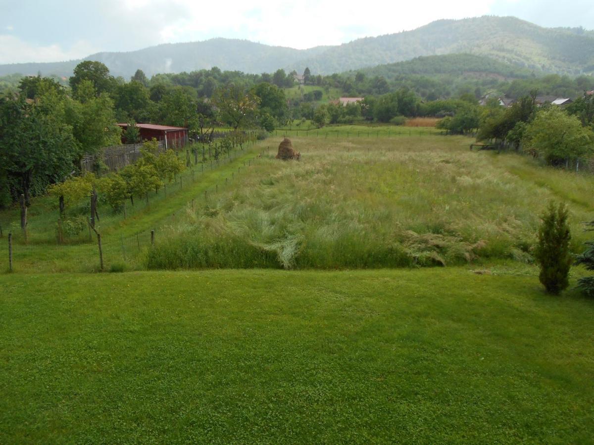 Casa Rudi & Ella Hotel Sălişte Bagian luar foto