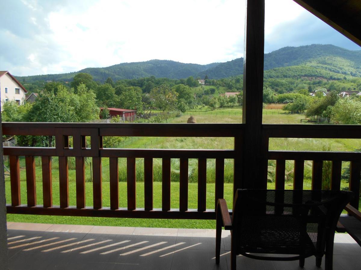 Casa Rudi & Ella Hotel Sălişte Bagian luar foto